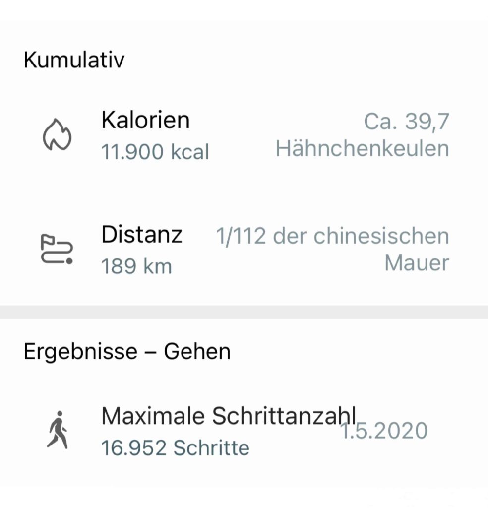 Lustig: Die Aktivitätswerte rechnet die App in