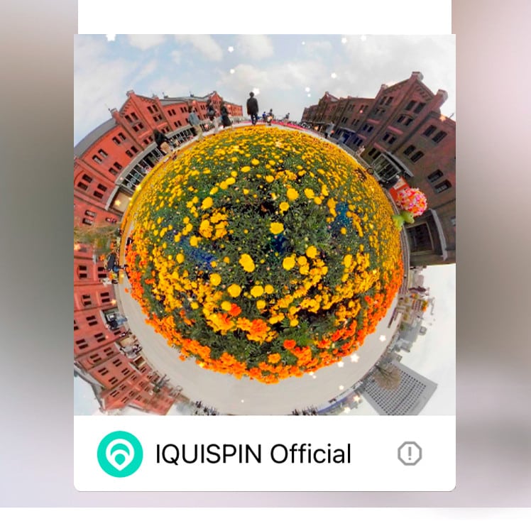 IQUISPIN App für die Pocket Cam