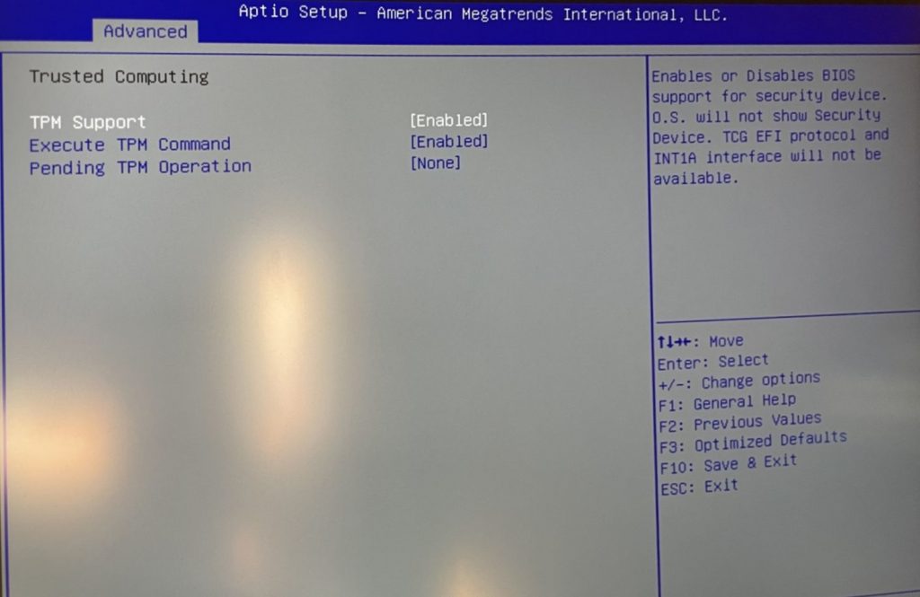 Das Bild zeigt die TPM-Einstellung in einem anderen BIOS.