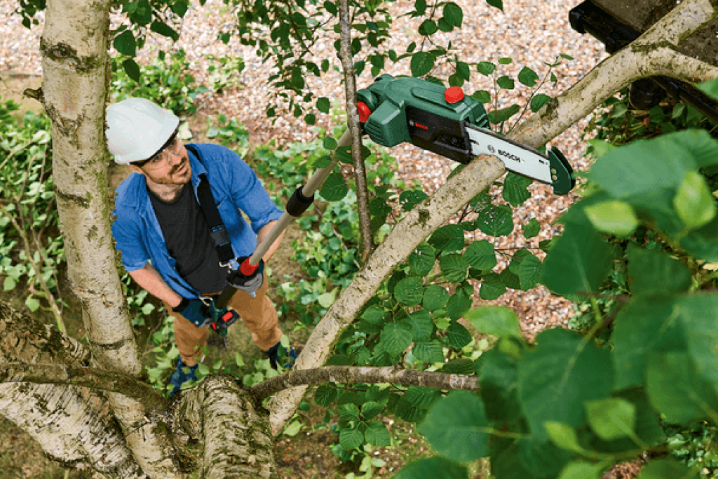 Mann sägt mit einem Hochentaster einen Ast an einem baum ab.