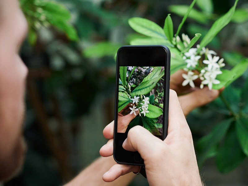 Gardena smart App: Pflanzenerkennung als neue Funktion