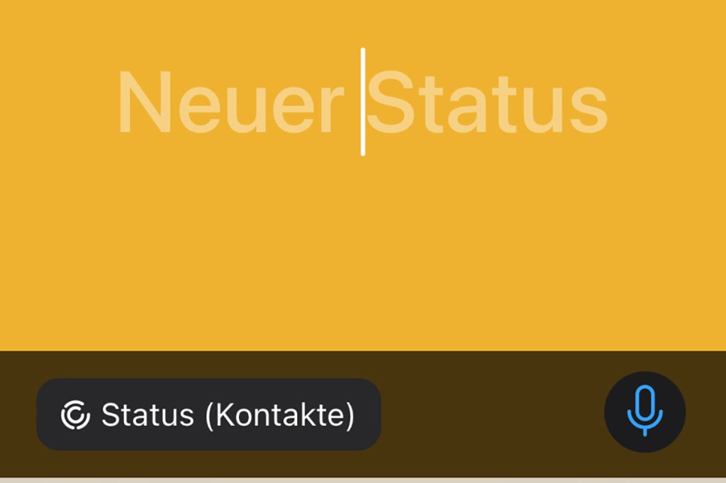 Sprachnachricht im Status