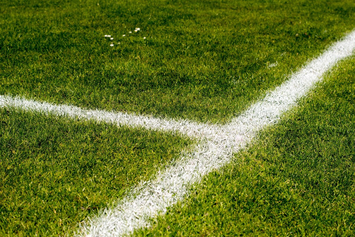 Eine weiße Randmarkierung begrenzt ein grünes Fußballfeld