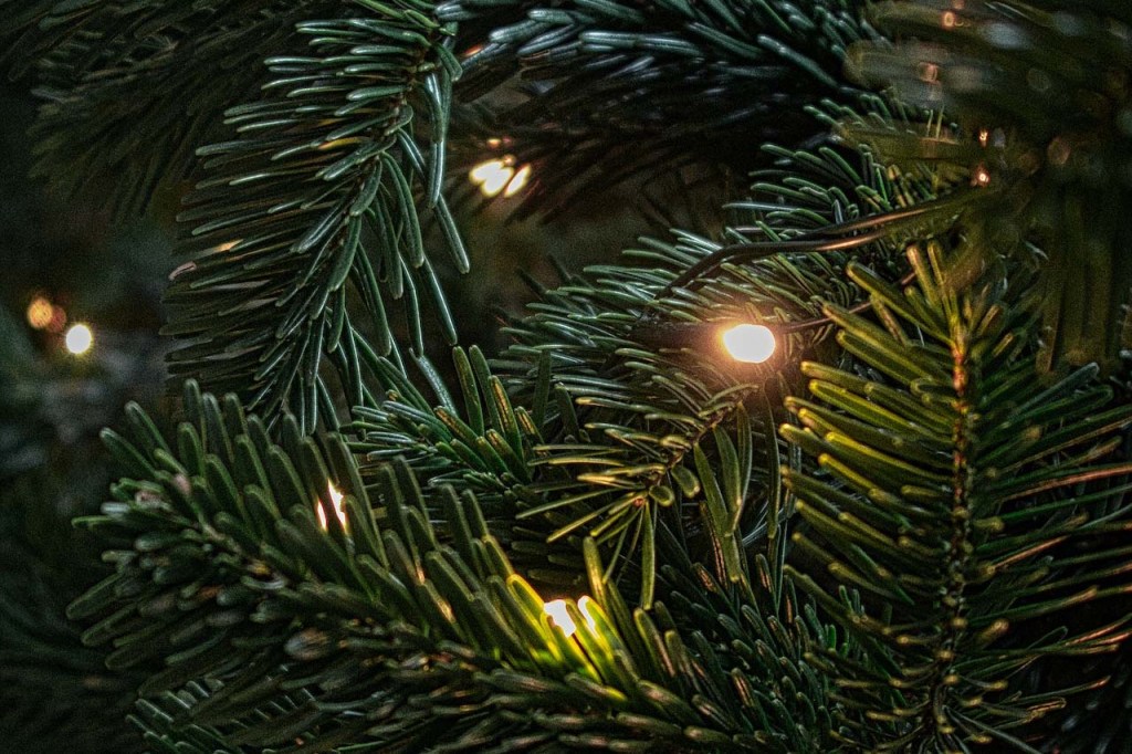 Detailaufnahme Lichterkette in Tannenbaum