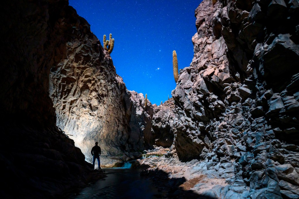 Zwischen Felsen und Kakteen fotografiertet Sternenhimmel.