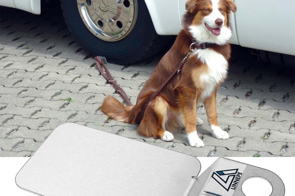 Hund vor einem Auto sitzend, davor sieht man eine Bodenplatte