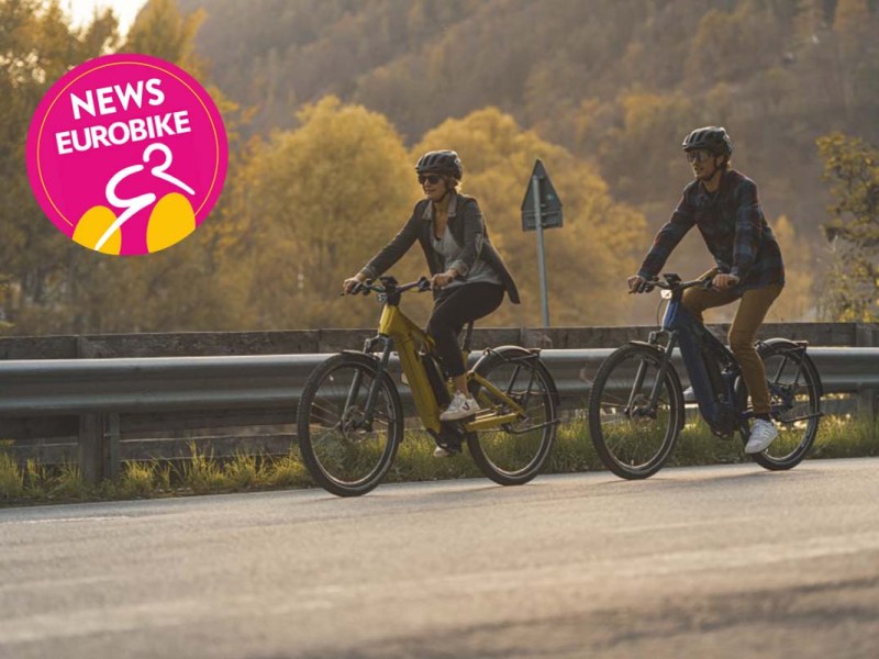 Zwei Menschen fahren mit ihren E-Bike über eine Straße, die durch ein Naturstück führt