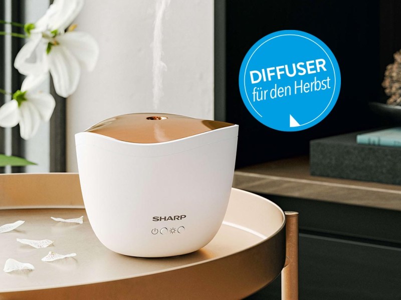 Aroma-Diffuser: Wohltuende Düfte und gutes Raumklima für zu Hause