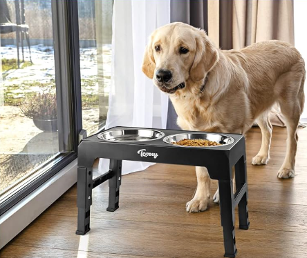 Ein Golden Retriever steht vor einem höhenverstellbaren Futternapf.