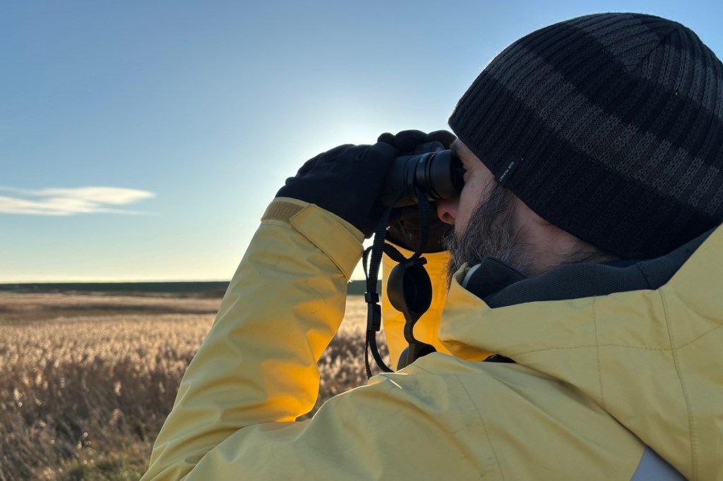 Ein Mann mit Mütze und Winterkleidung hat ein Fernglas in der Hand und blickt aufs Schilf.