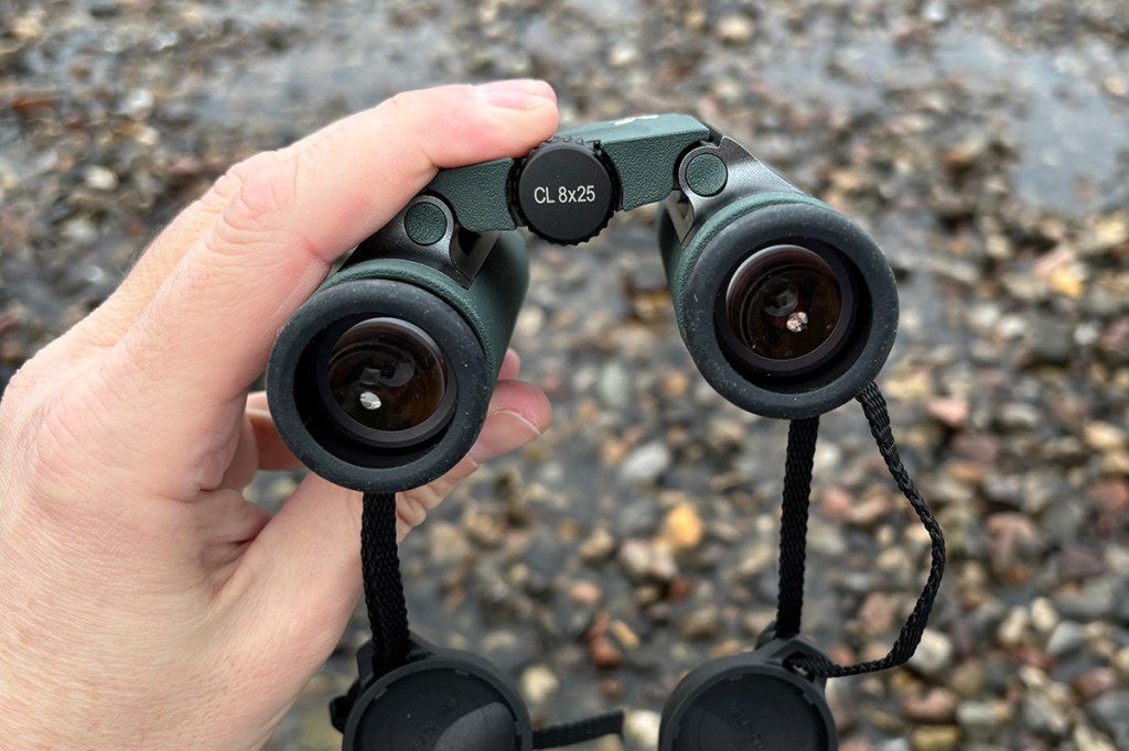 Das Fernglas Swarovski CL Pocket von vorn, mit Blick auf die Augenmuscheln.