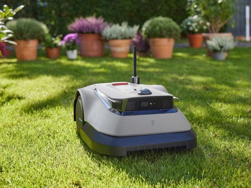 Ecovacs Goat G1-800 Mähroboter ohne Begrenzungskabel in Grau schwarz schräg von vorne auf grünem Rasen, im Hintergrund Blumenkübel mit grünen und lila Blumen