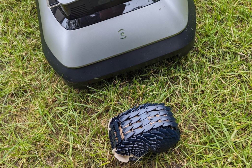 Ein Igel-Roboter vor dem Goat.