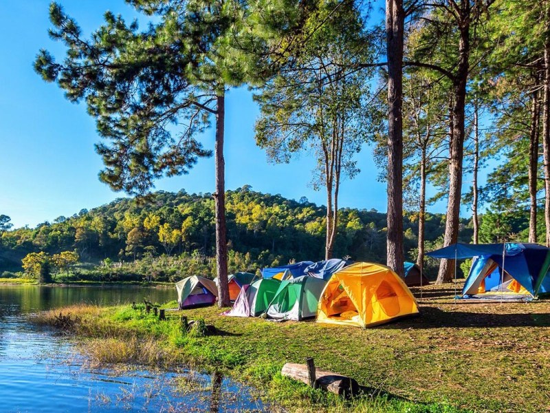 Bunte Zelte unter Kiefern an einem See