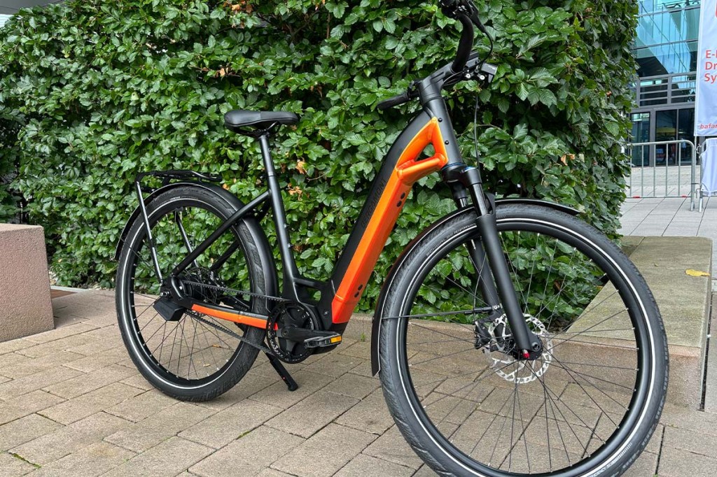 E-Bike vor einer Hecke stehend