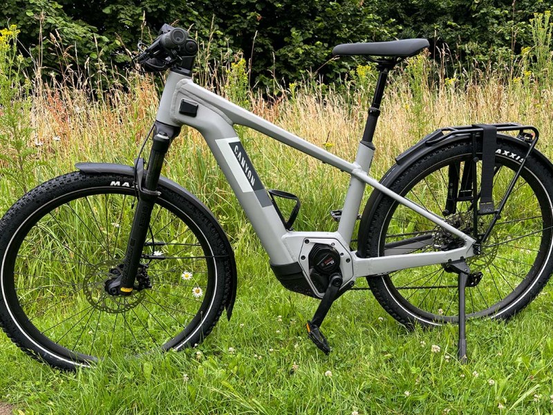 graues Trekking-E-Bike auf einer Wiese stehend