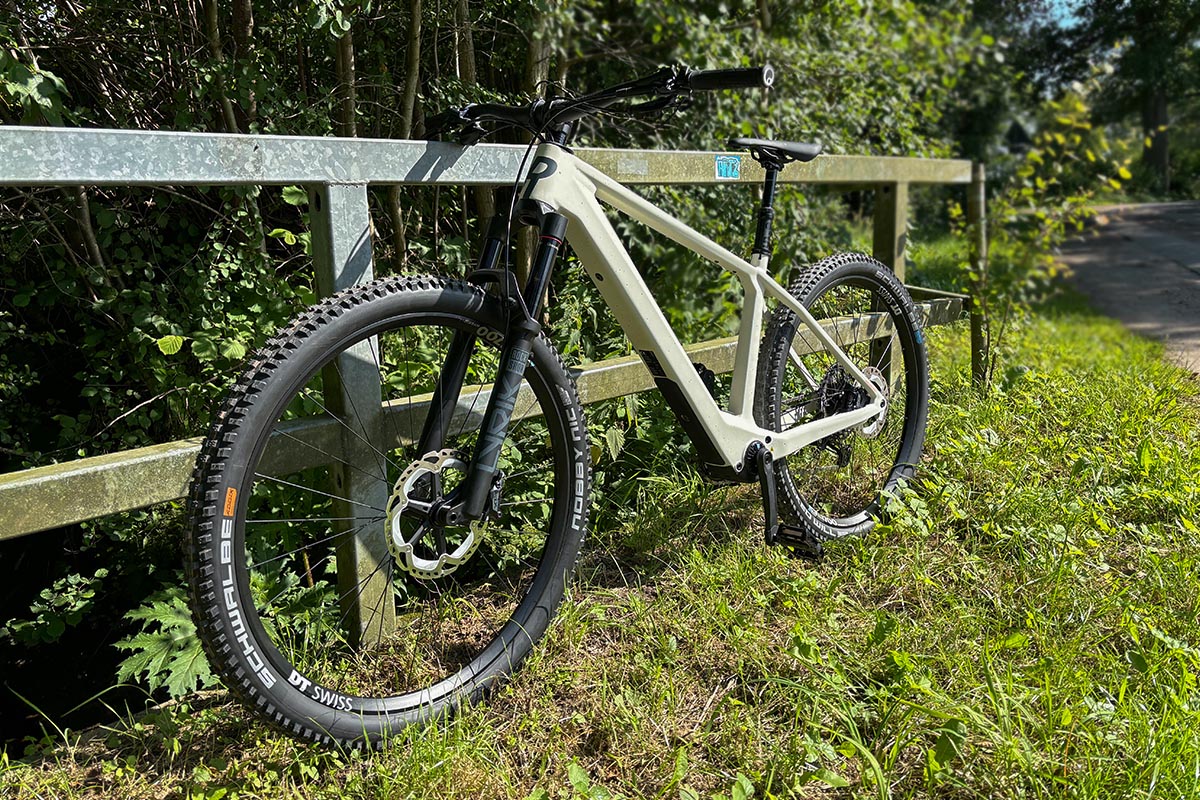 E-Bike vor einem Geländer stehend in der Natur