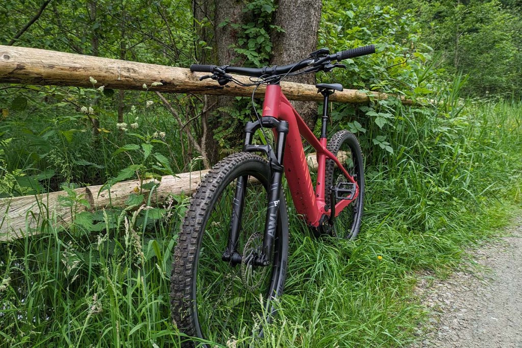 Rotes E-Mountainbike vor einem Balken lehnend inmitten der Natur