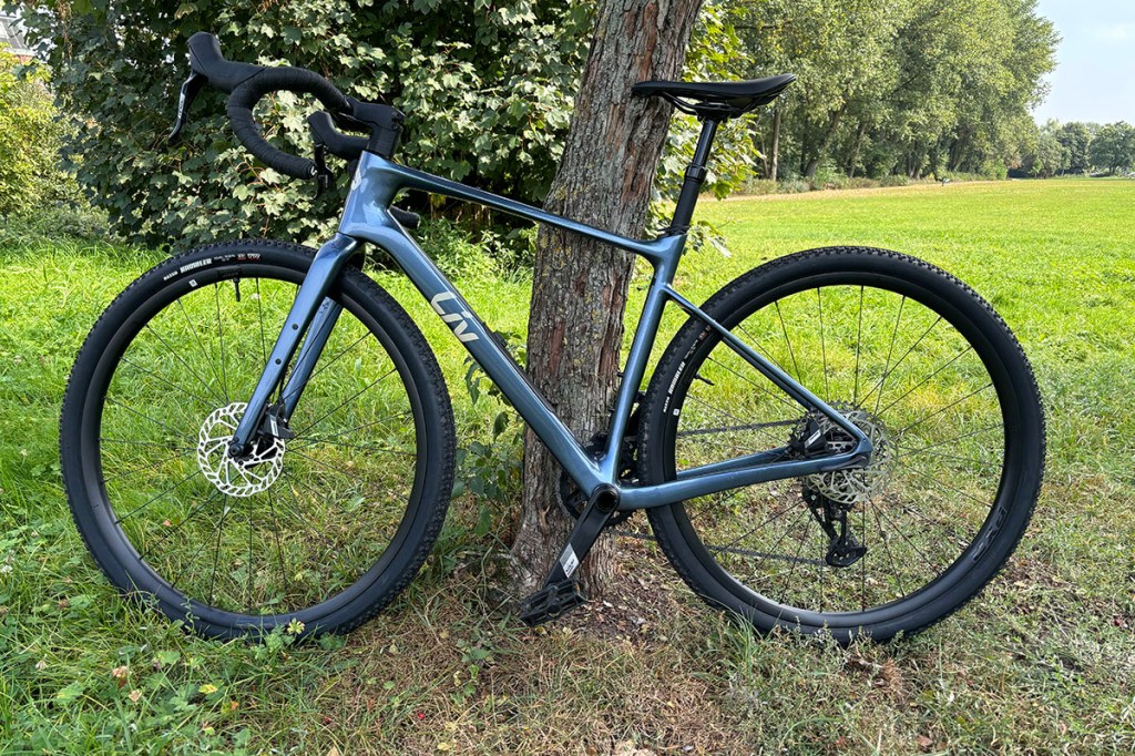 Blaues Gravelbike steht im Profil an einen Baum gelehnt.