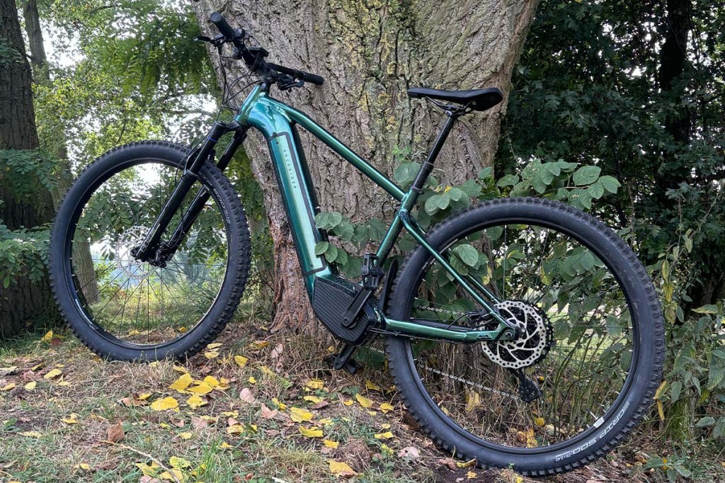 grünes E-Mountainbike an einen Baum gelehnt