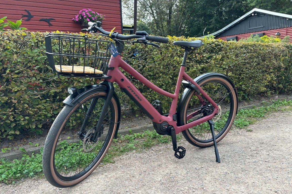 Totale E-Bike vor einer Hecke stehend