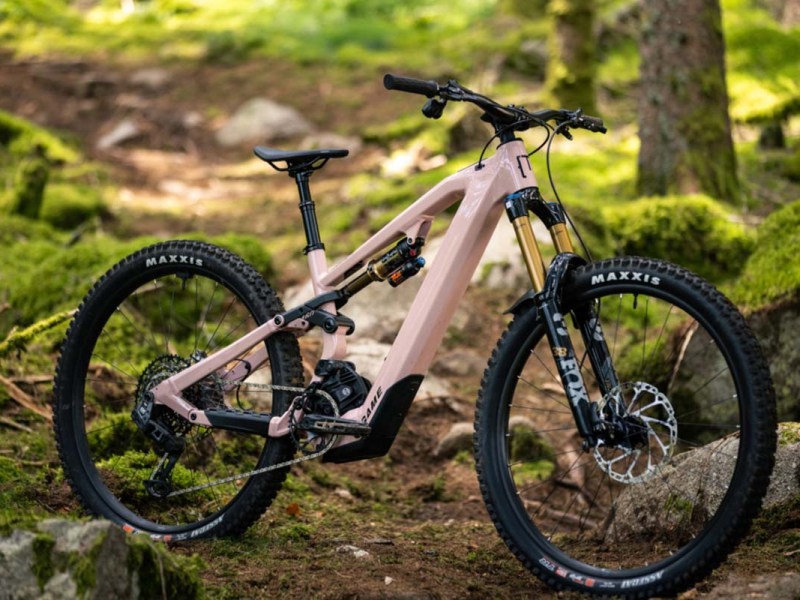 pinkfarbenes E-Mountainbike im Wald stehend