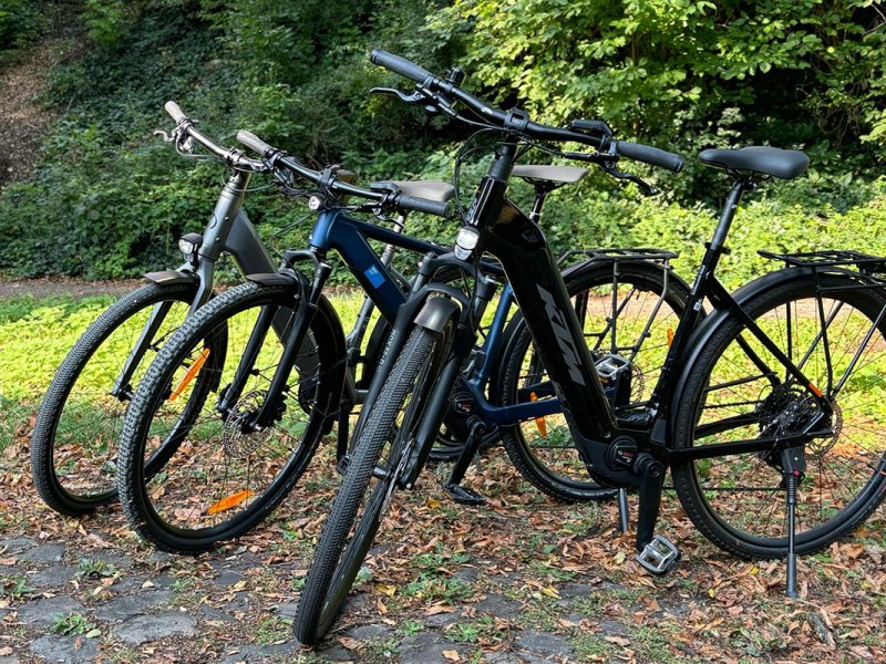 Drei E-bikes nebeneinanderstehend, Büsche im Hintergrund