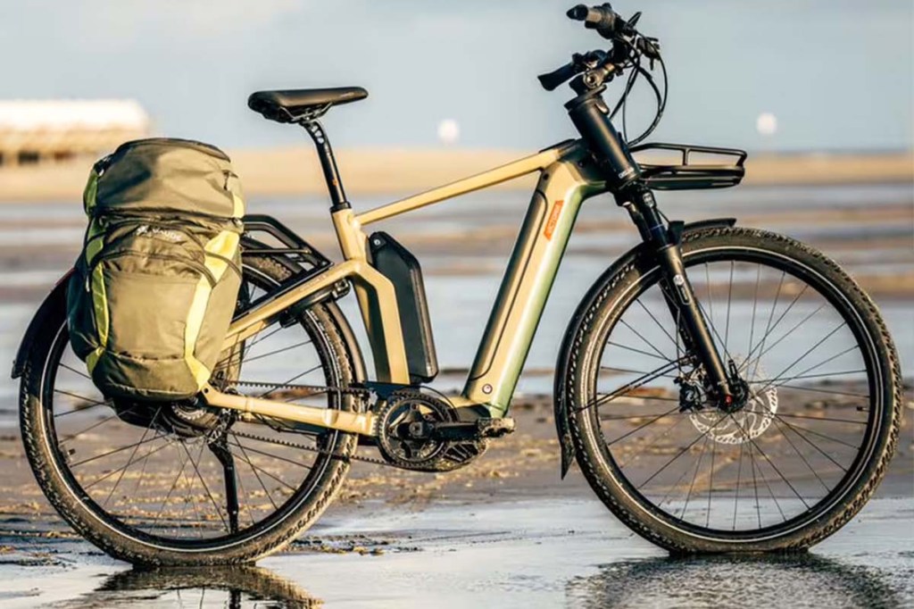 E-Bike mit Gepäckträgertaschen beladen im Watt stehend