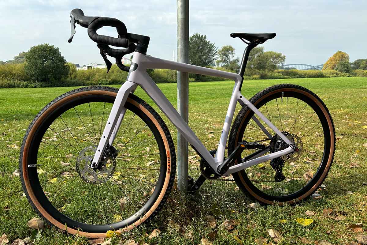 ET Gravelbike Rose