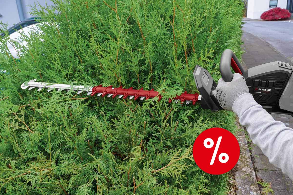Header Lidl Parkside Heckenschere
